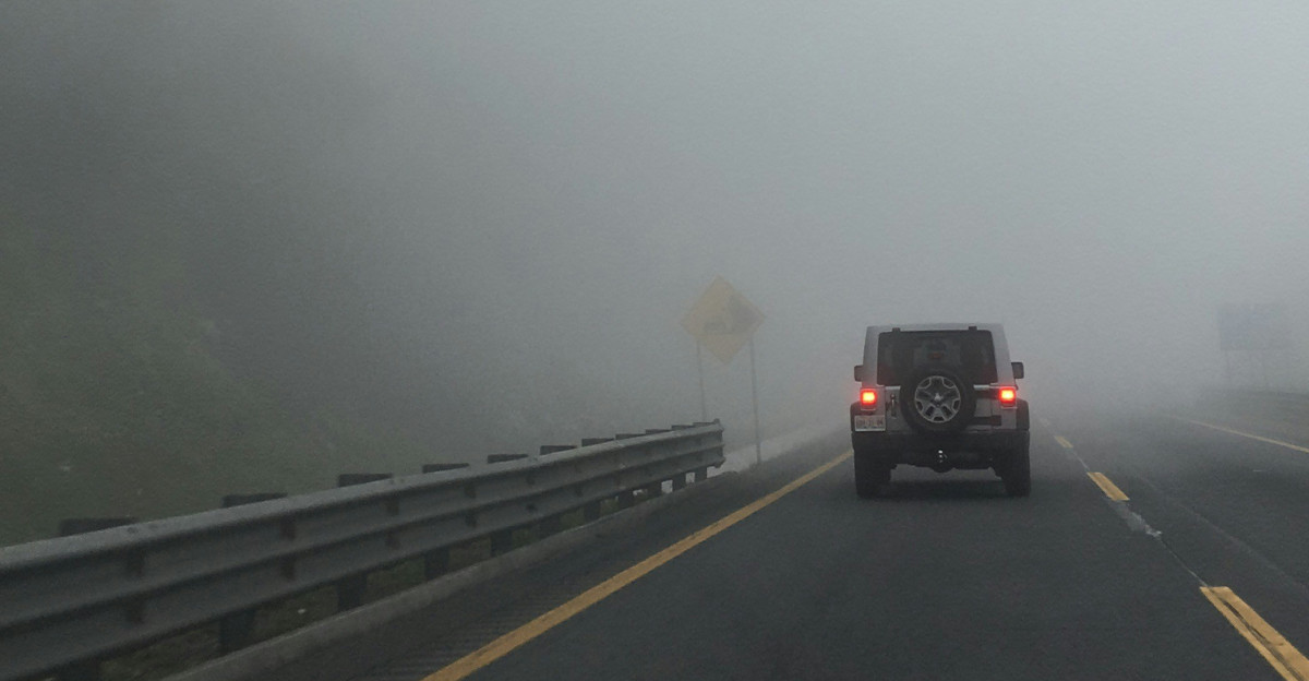 black suv on road during foggy weather