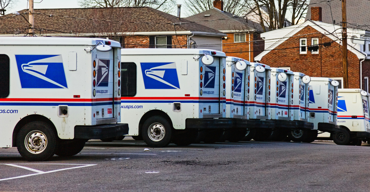 white and red van parked near bare trees during daytime