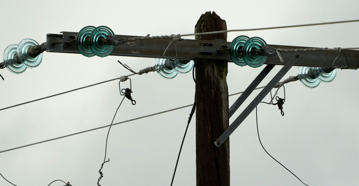 brown wooden post with green rope