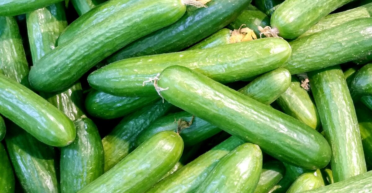 green and yellow vegetable leaves