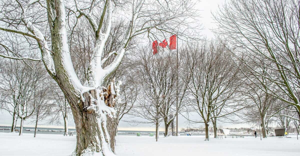 red and white stop sign on snow covered ground