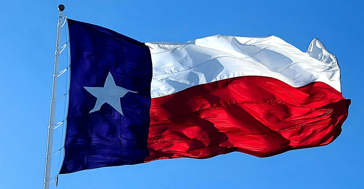 blue white and red flag