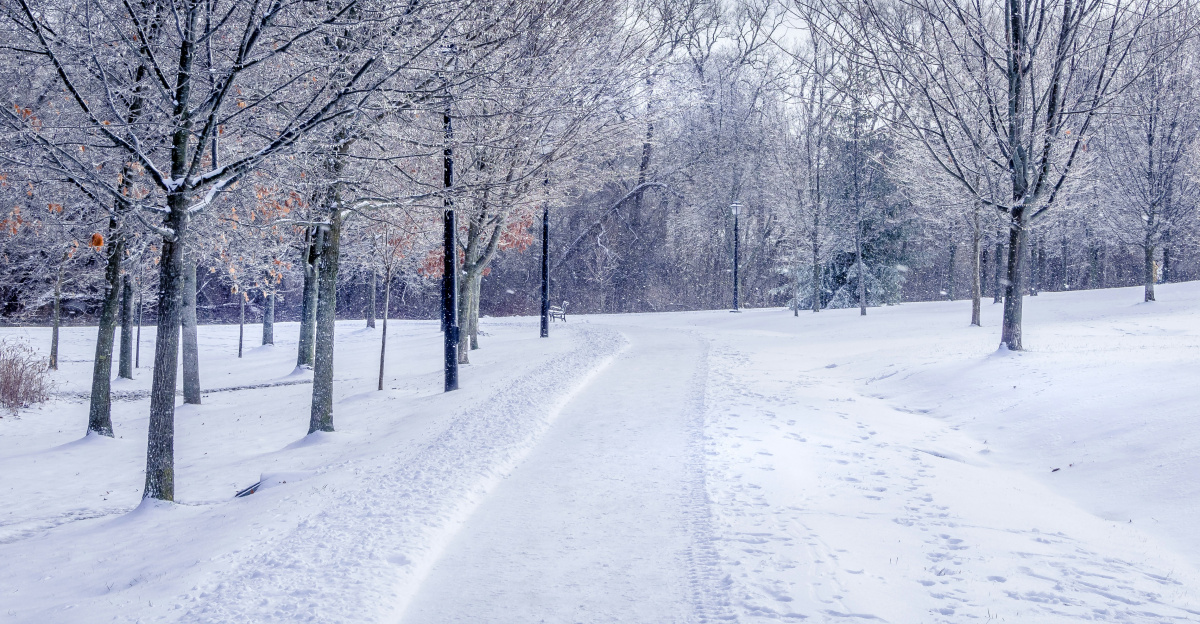 snow covered road between bare trees under cloudy sky during daytime