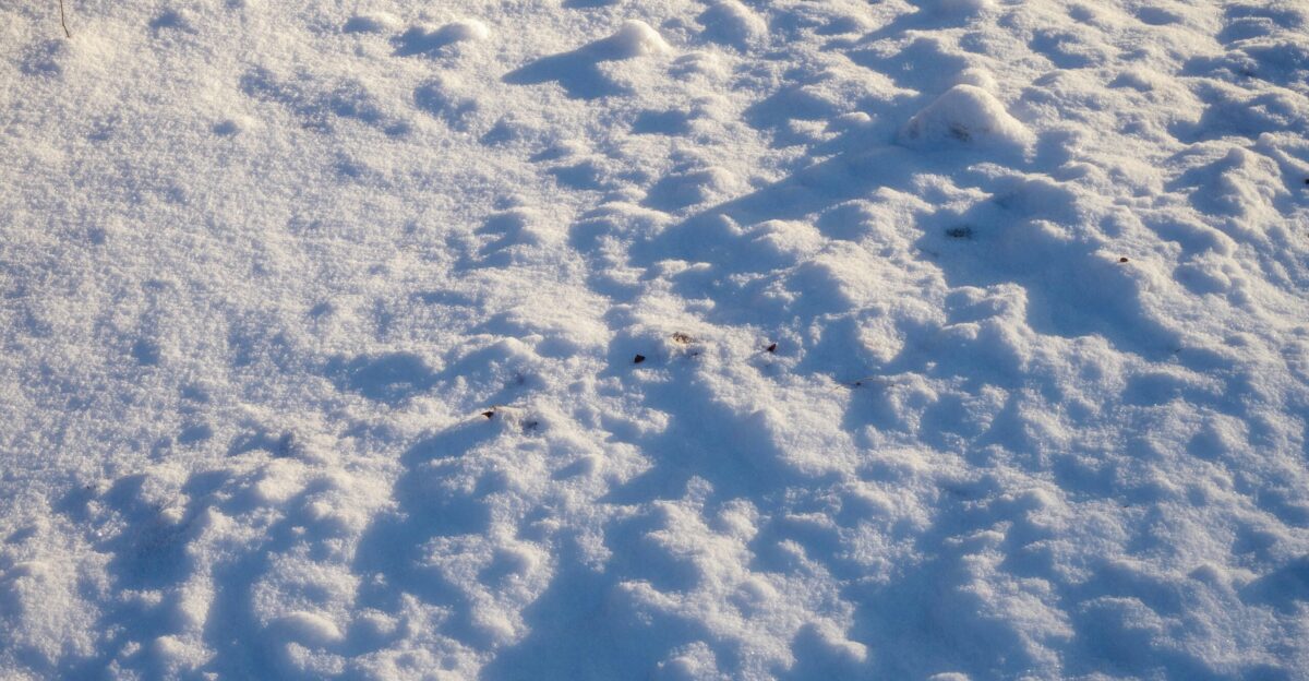white clouds during day time