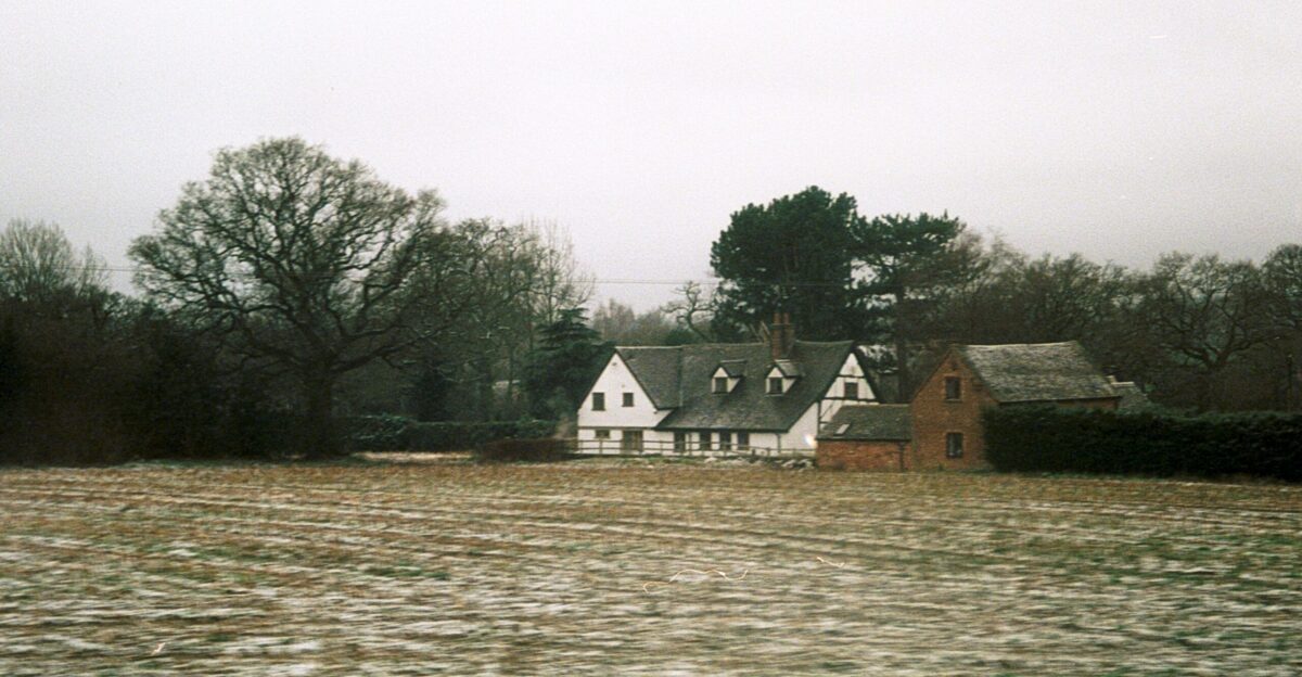 white and brown house near green trees and body of water during daytime