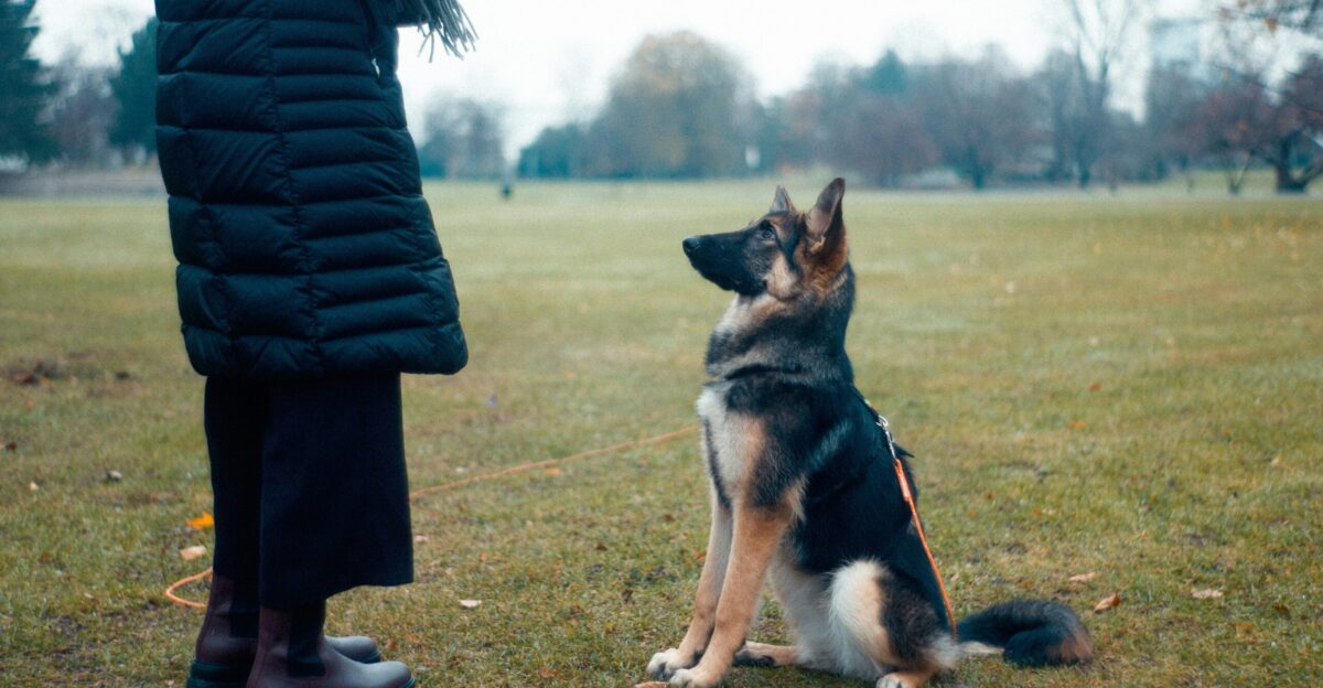 person in black jacket standing on green grass field during daytime