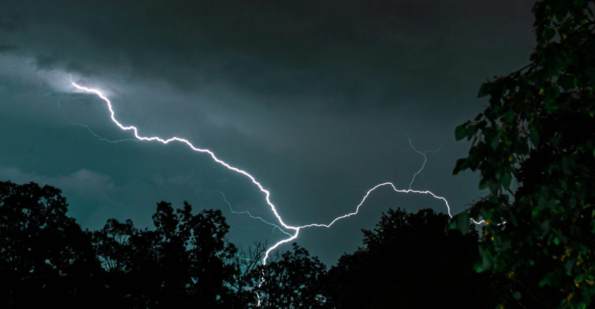 lightning strike on trees during night time