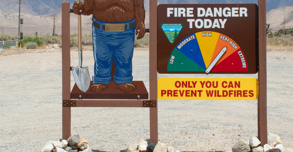 brown wooden signage on brown sand during daytime
