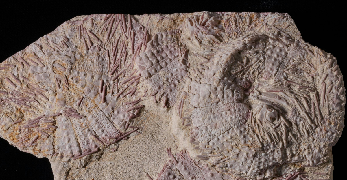 a piece of art that is on a black surface