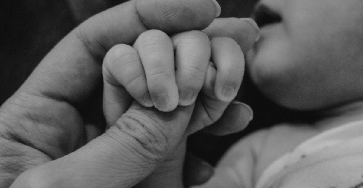 a hand holding a cell phone