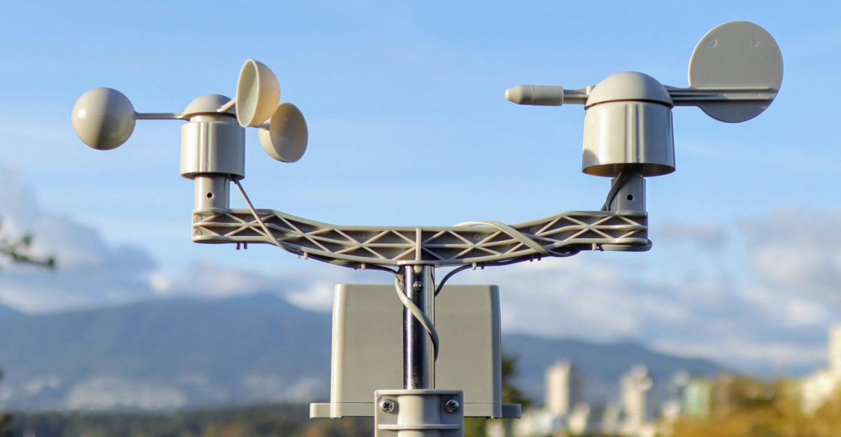 a cell phone tower in the middle of a park