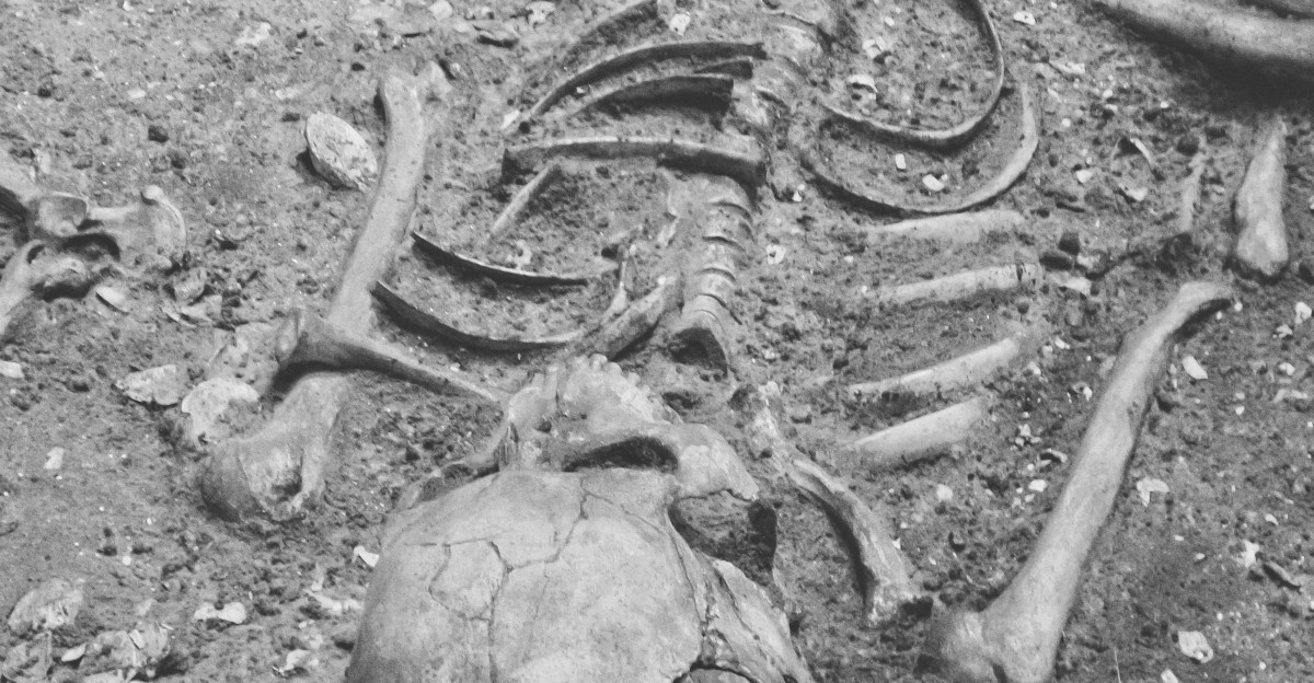 a black and white photo of a skeleton laying on the ground