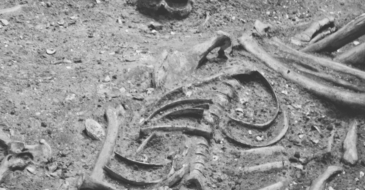 a black and white photo of a skeleton laying on the ground