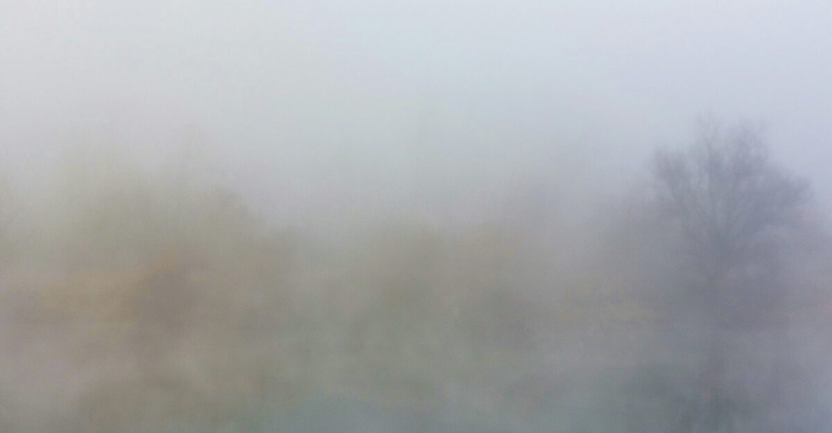 a foggy field with trees in the distance