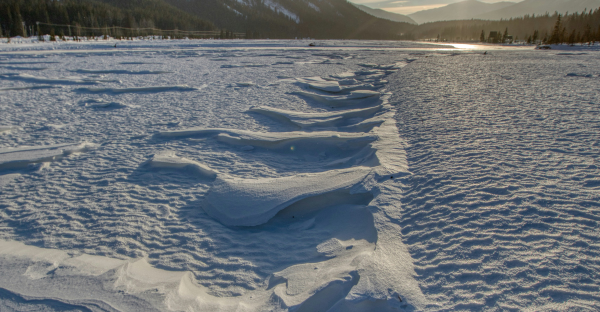a snow covered field with trees and mountains in the background