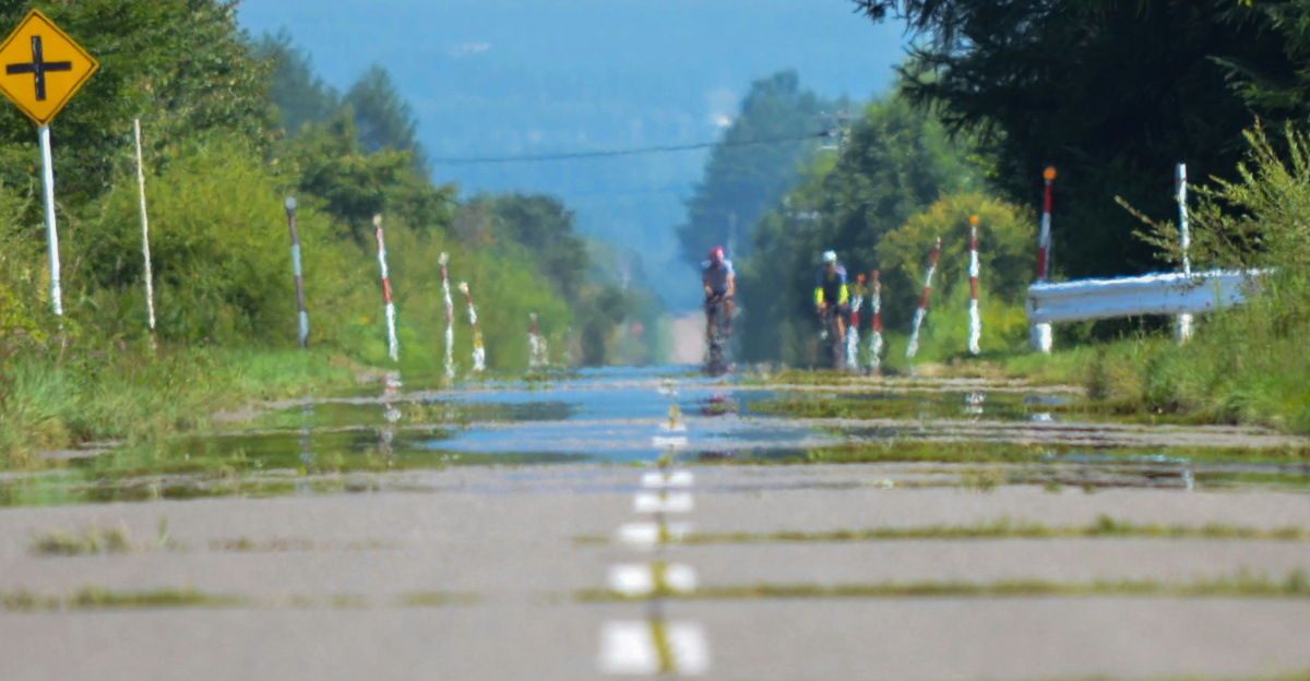 a road with a yellow sign on the side of it