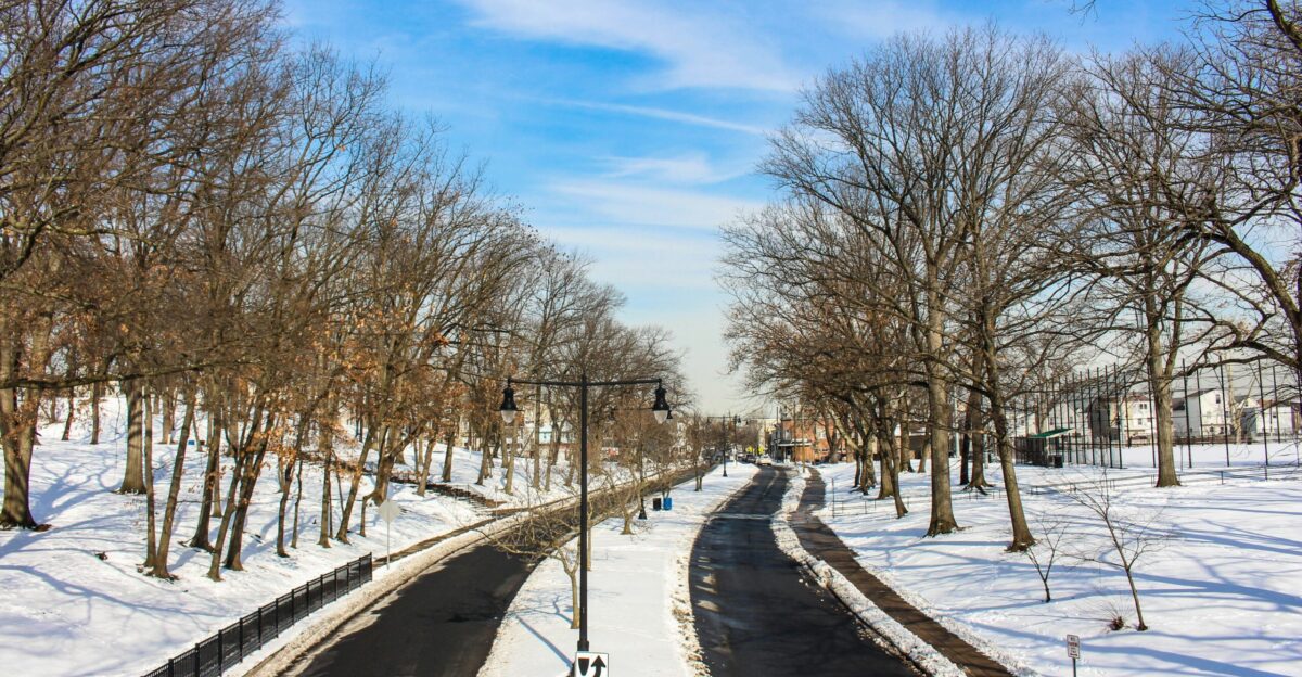 a snowy street lined with trees and a street light