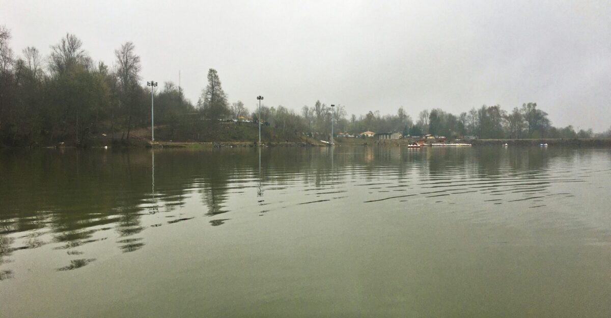 a body of water with trees in the background