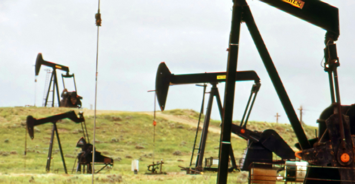 a group of oil pumps sitting on top of a field