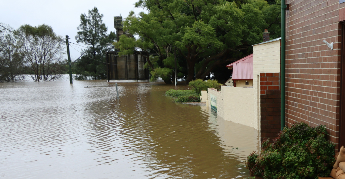 a flooded street with a building and a dog lying on the ground