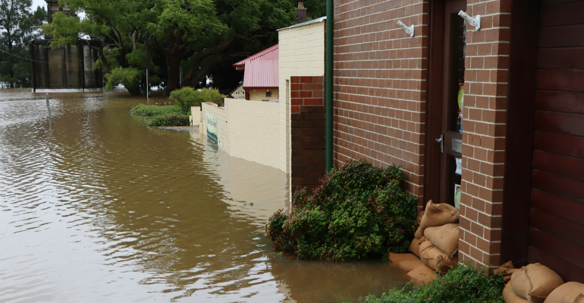 a flooded street with a building and a dog lying on the ground