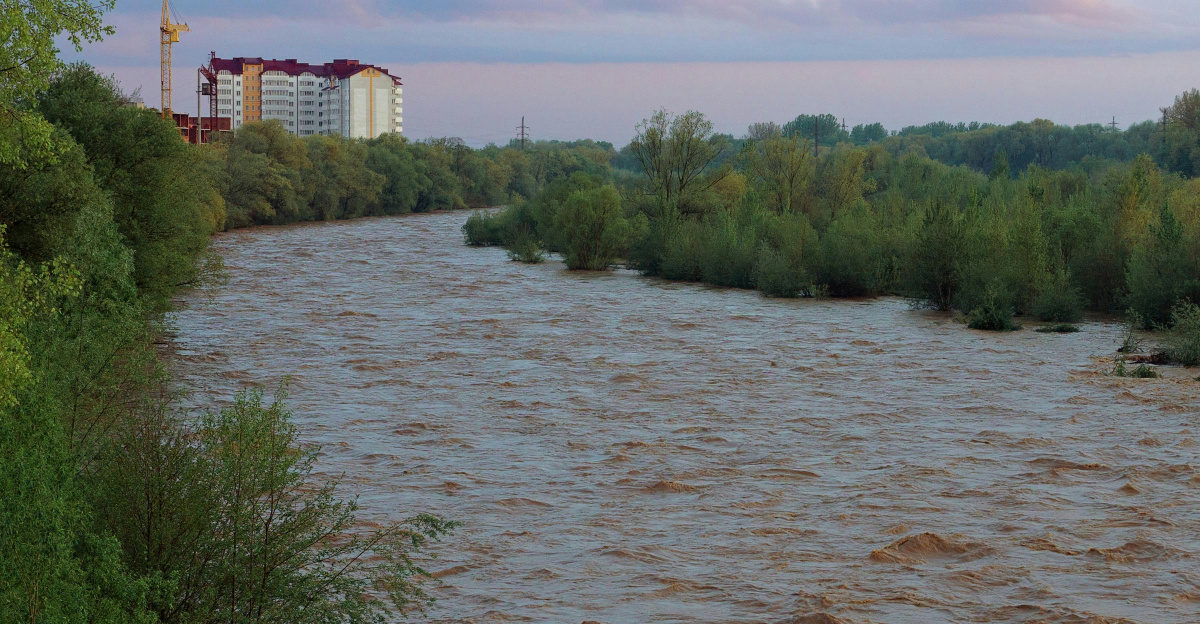a river with trees on the side