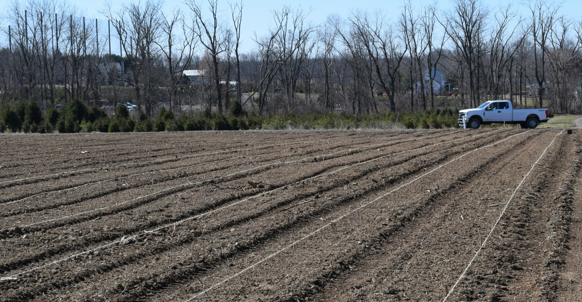 a dirt road with a car on it and a car on the side