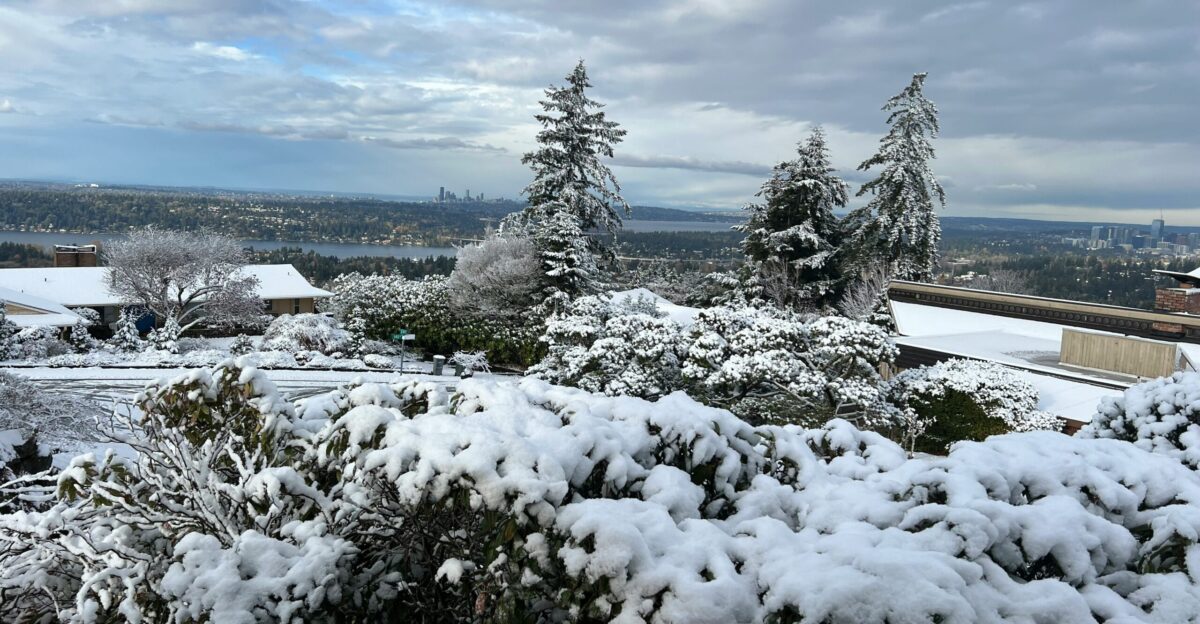 a landscape with snow and trees