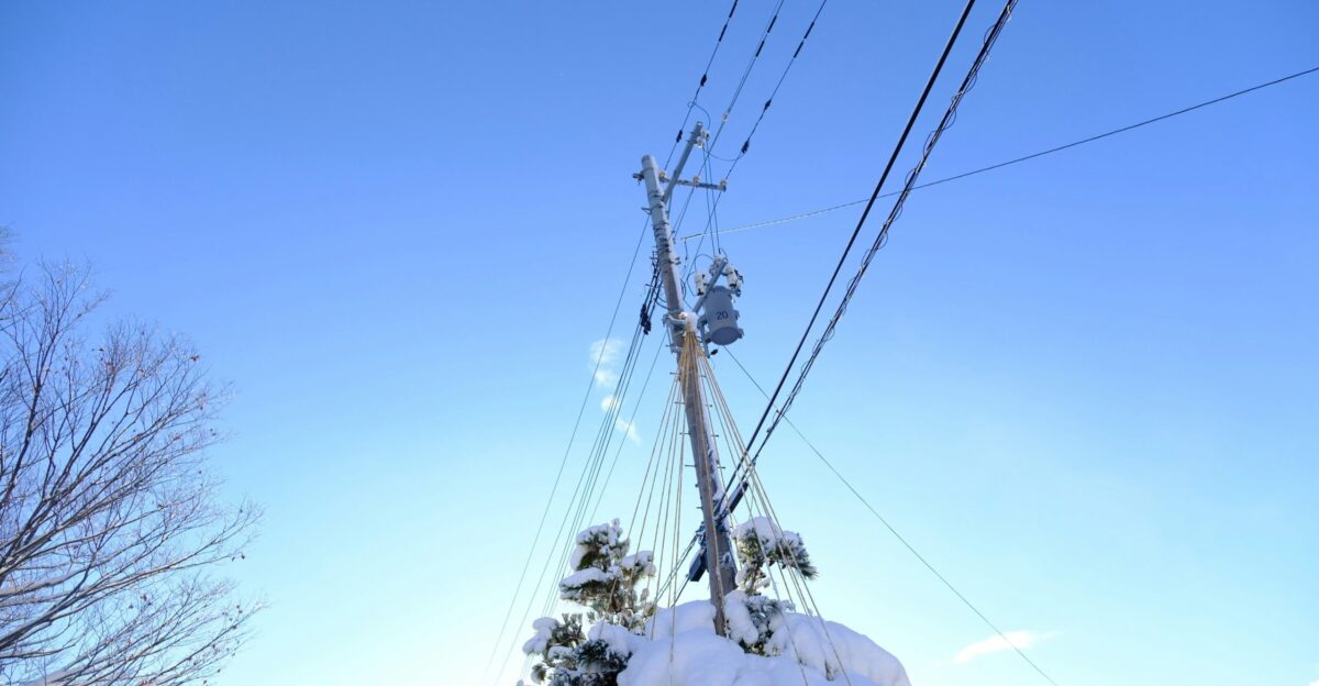 a telephone pole covered in snow next to a tree
