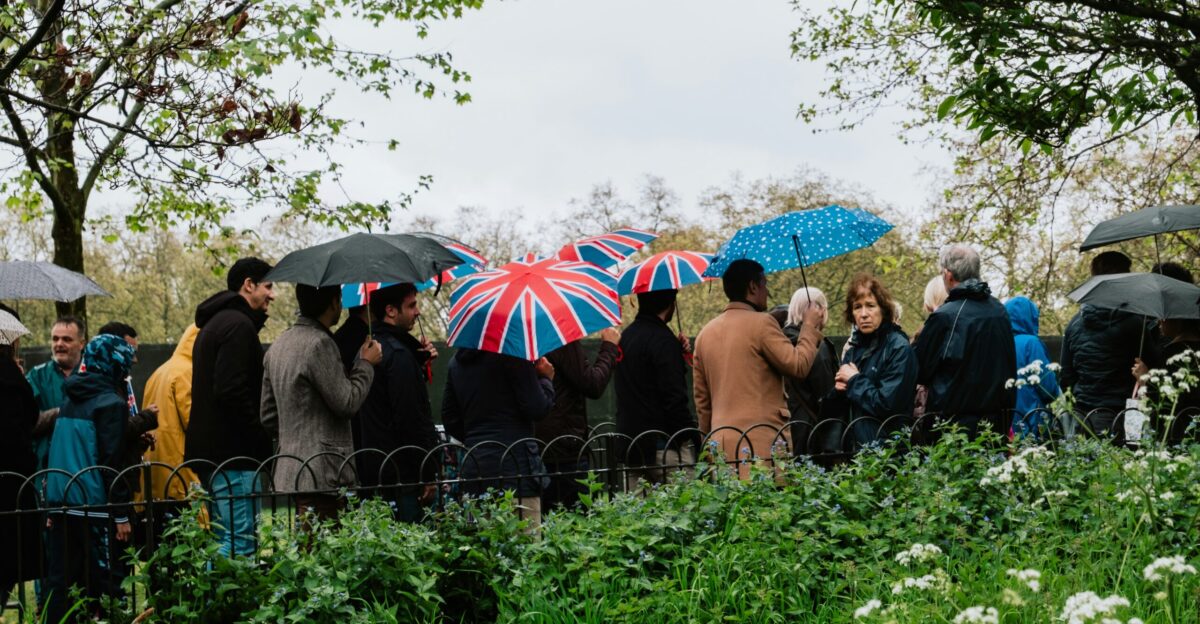 a group of people with umbrellas standing in a field