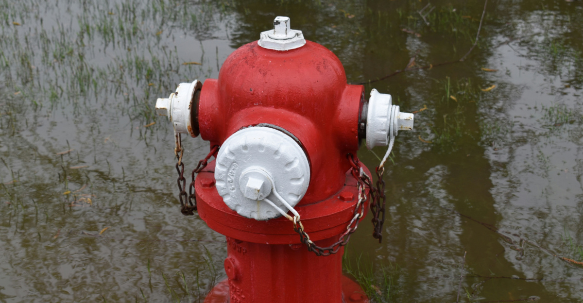 a red and white fire hydrant in a flooded area