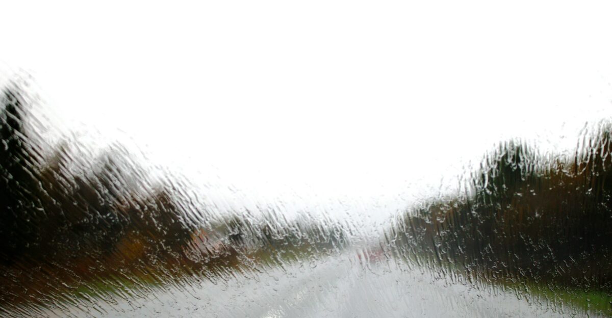 a blurry picture of a road with trees on the side of it