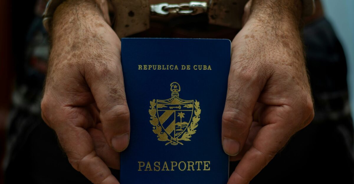 a person holding a passport in their hands