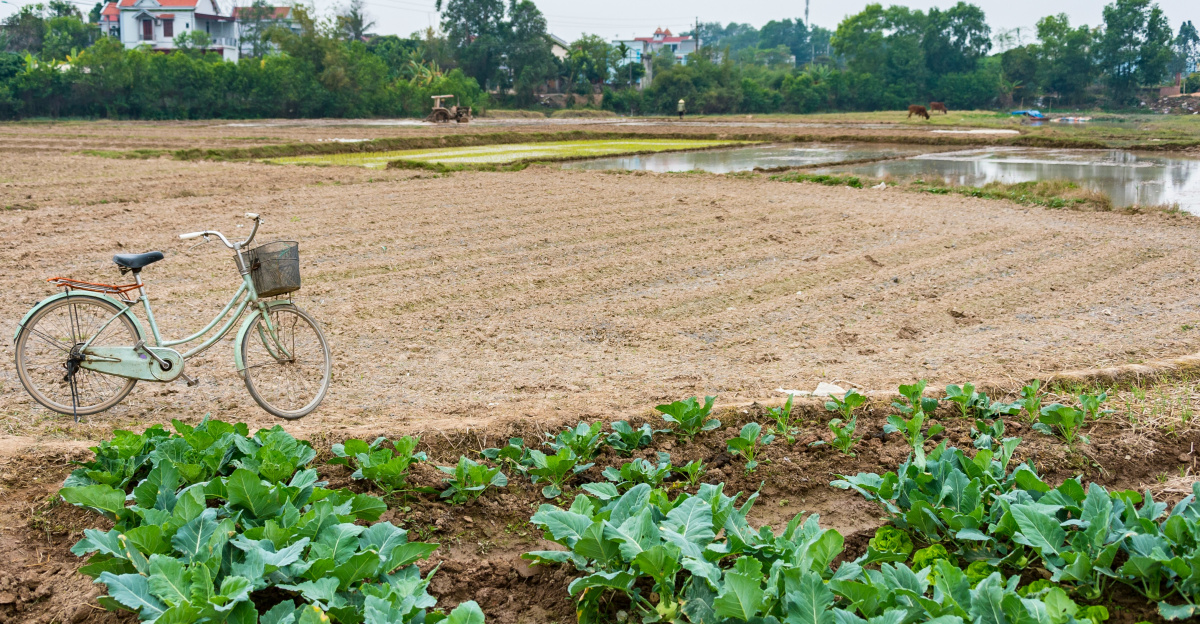 a bike parked next to a plowed field