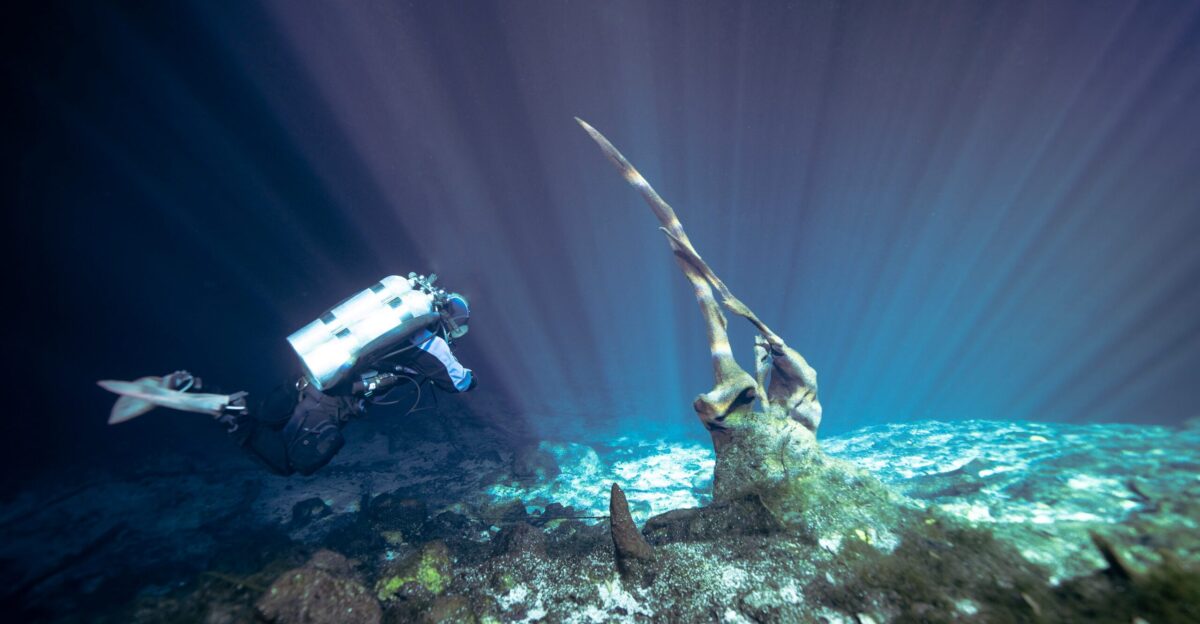 a scuba diver swims over a coral reef