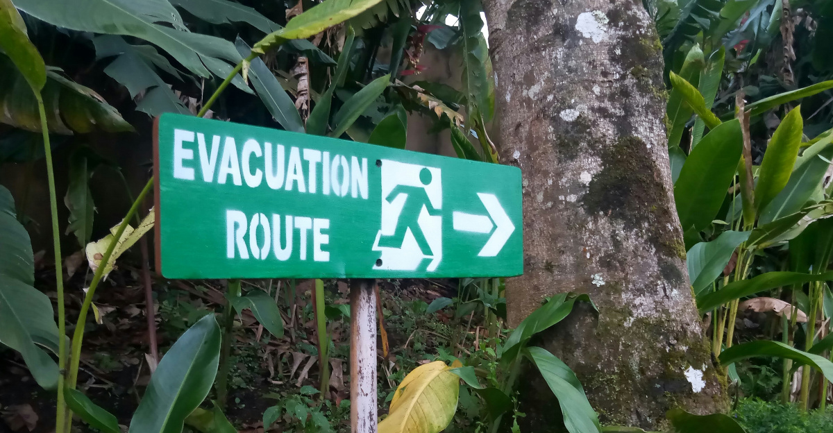 a green street sign sitting on the side of a lush green forest