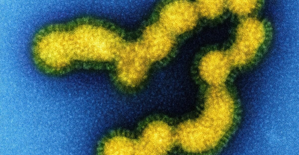 a yellow and green object on a blue surface