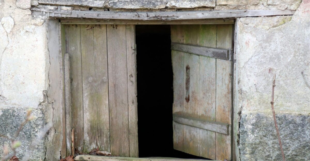 a wooden door in a stone building with leaves on the ground
