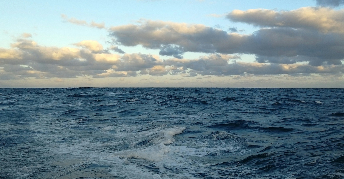 a view of a body of water from a boat