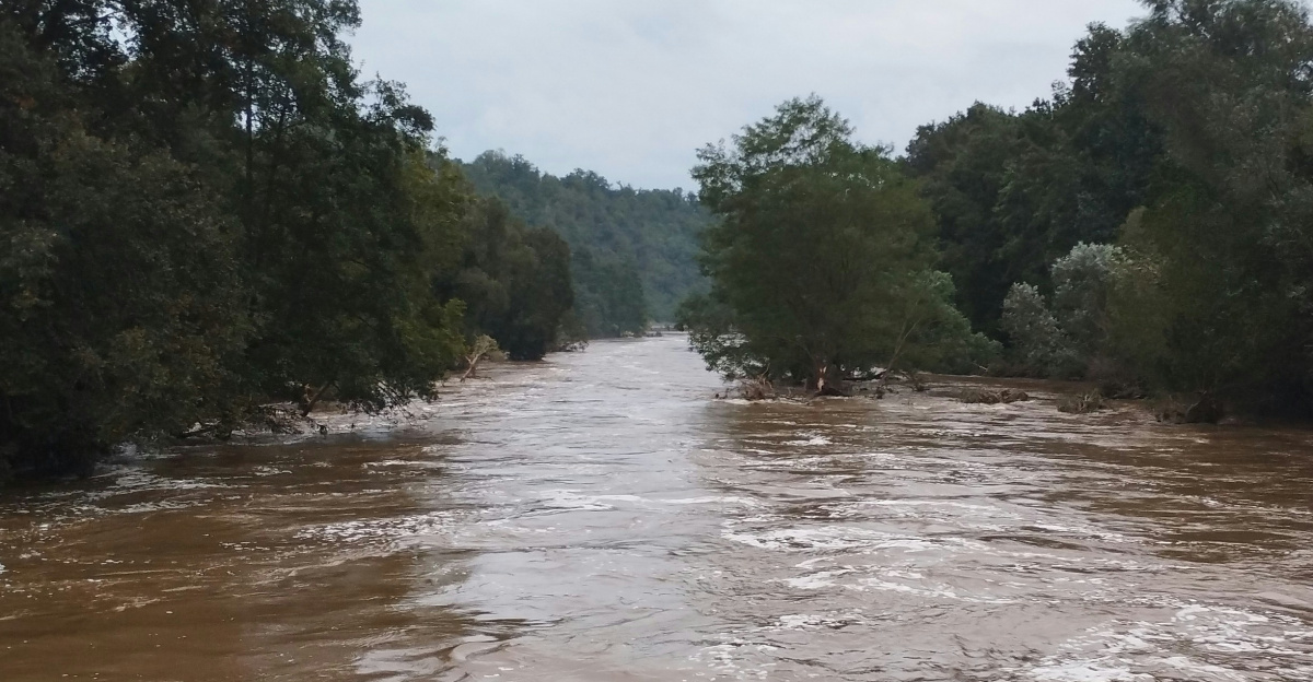 A boat traveling down a river next to a forest