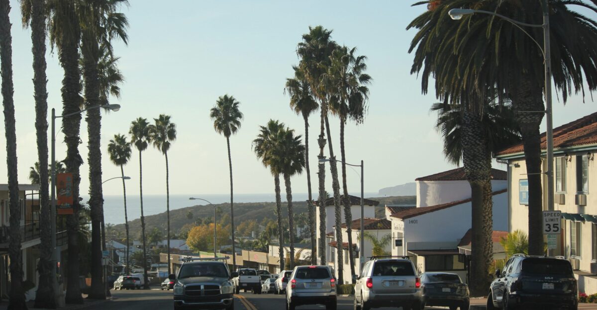 A city street with palm trees and buildings