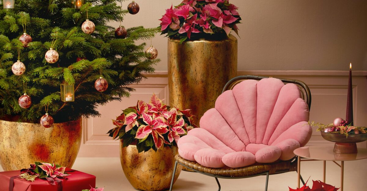 A room with a christmas tree presents and a chair