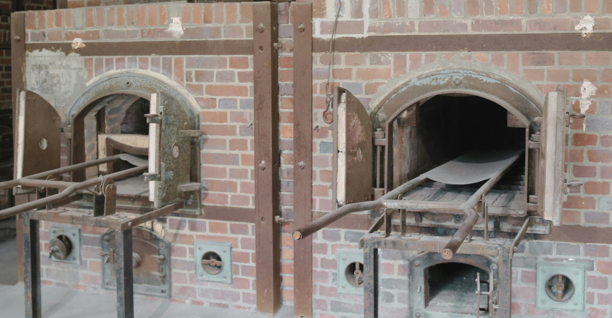 A brick oven in a room with exposed beams