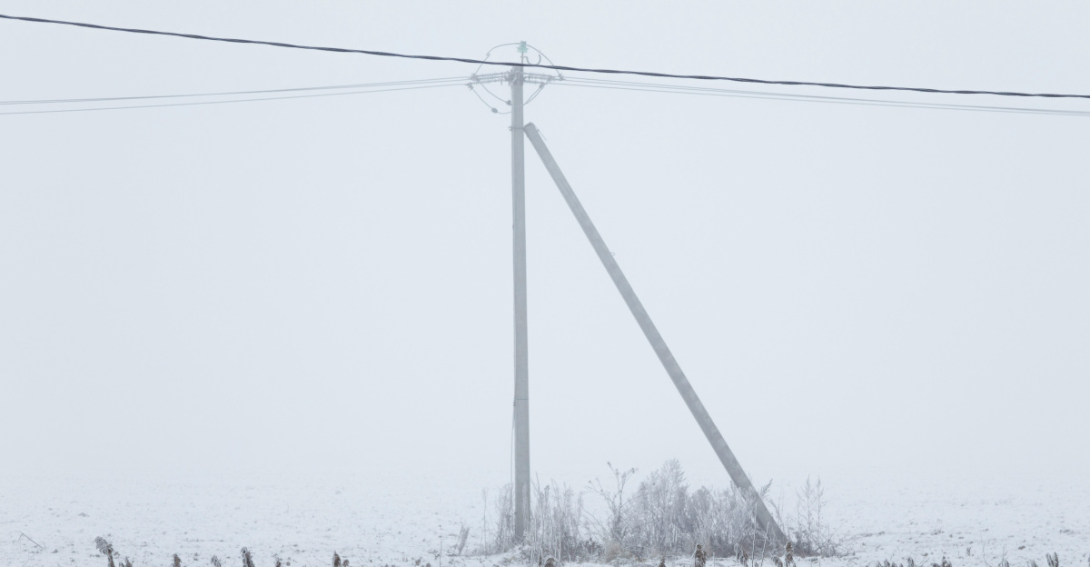 Snowy field with a utility pole.