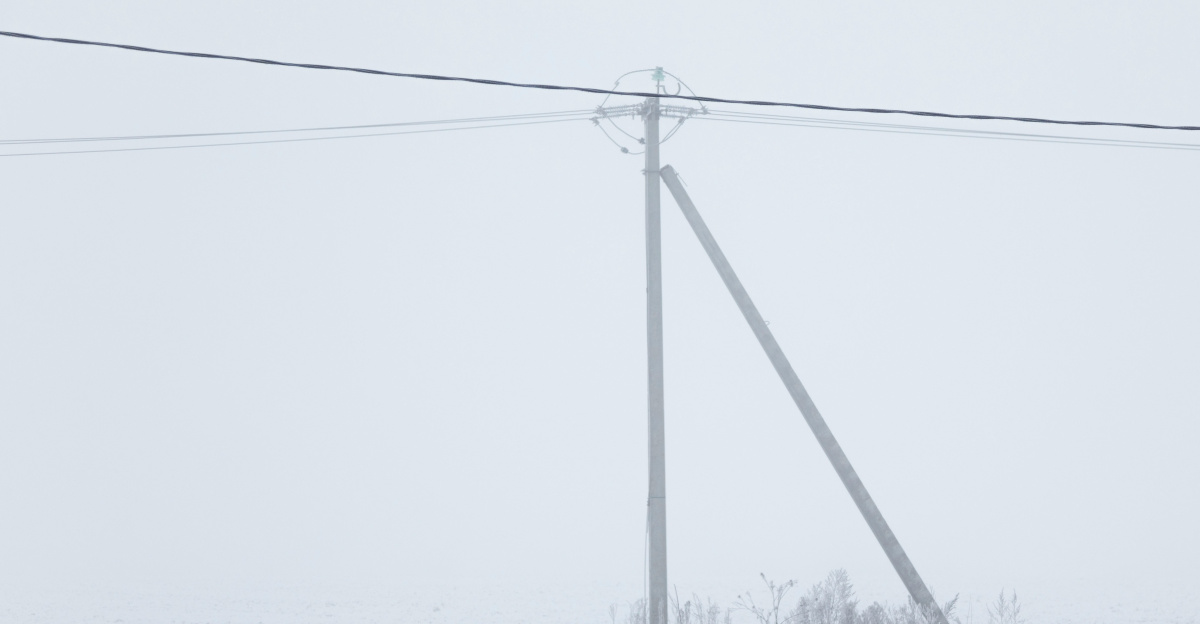 Snowy field with a utility pole.