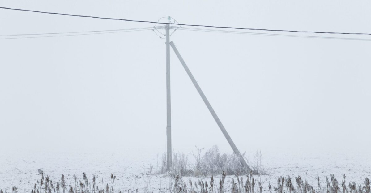 Snowy field with a utility pole