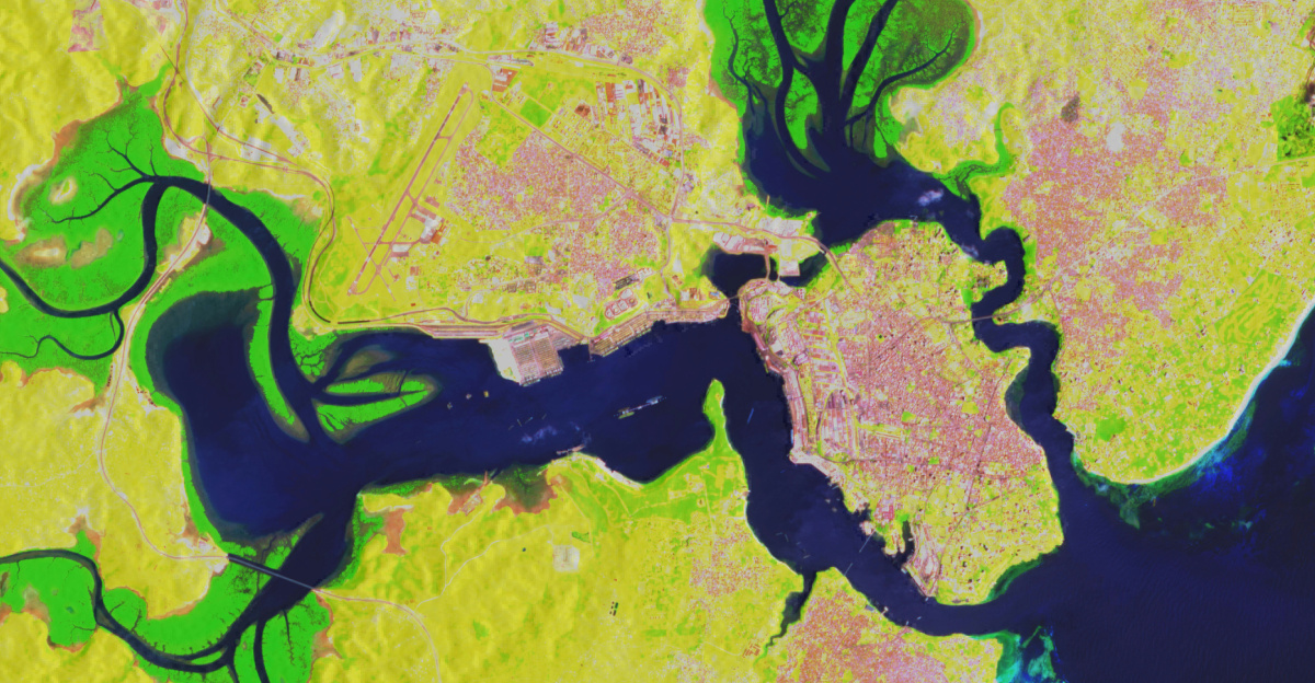 Satellite image of a river delta and coastline.