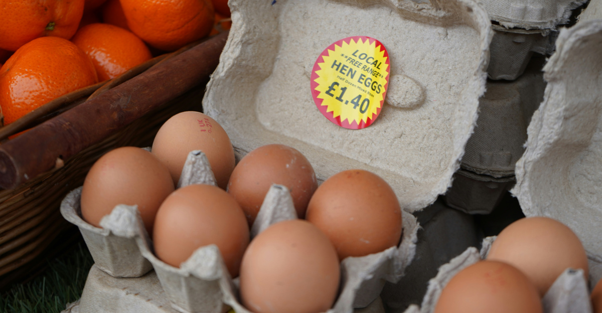 Eggs are sold at the market with oranges.