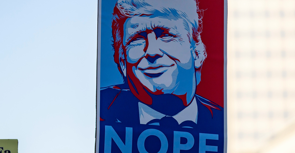 Protest sign with donald trump's face and "nope"