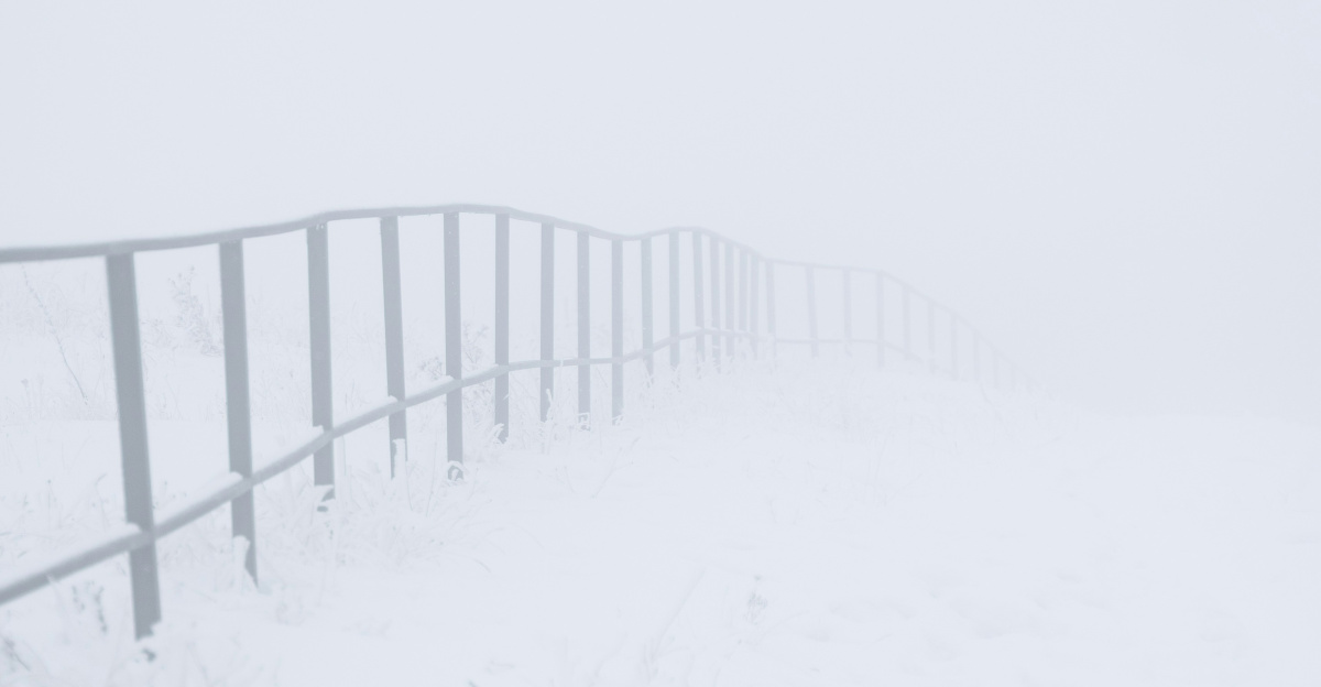 A metal railing in a snowy landscape with fog